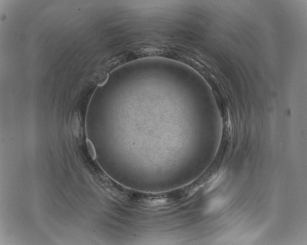 X0000072500651200607141131