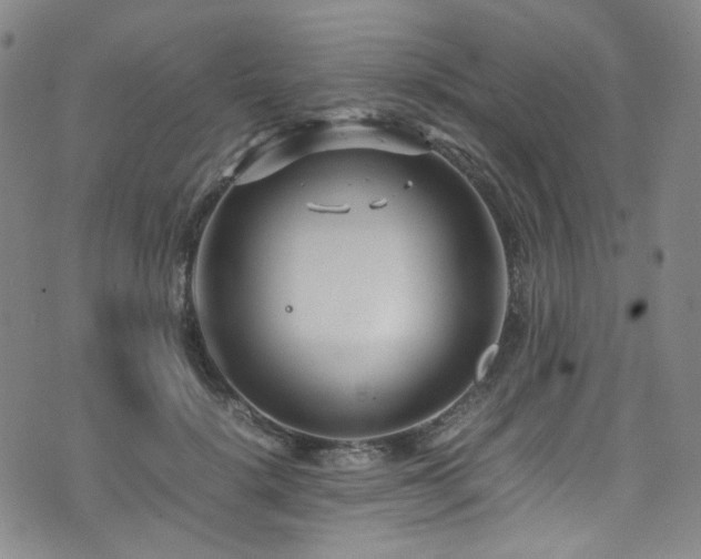 X0000072500652200607141131