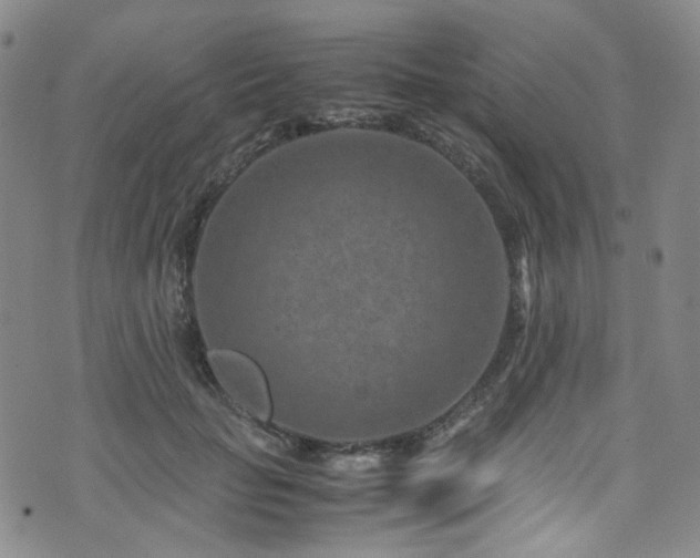 X0000072500653200607141131