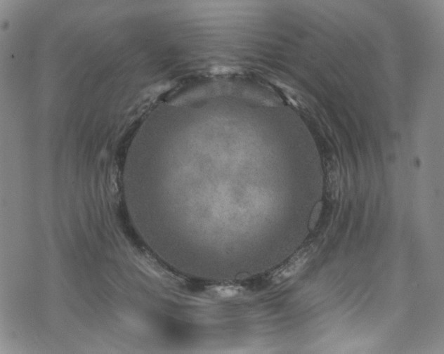 X0000072500654200607141131