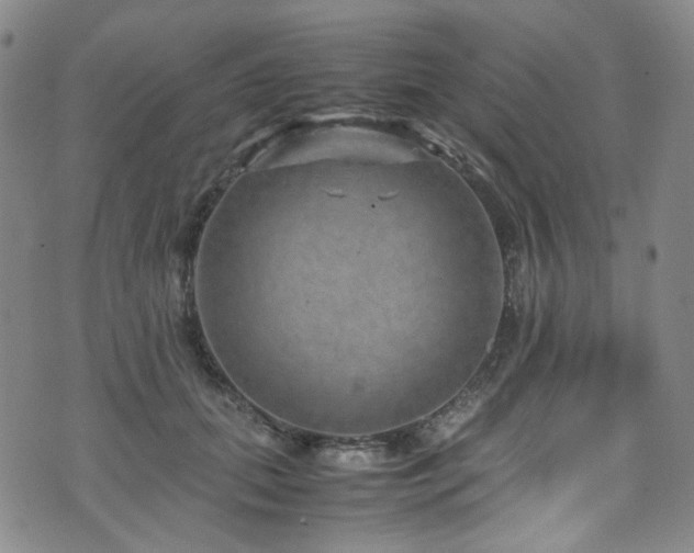 X0000072500655200607141131