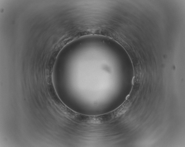 X0000072500656200607141131