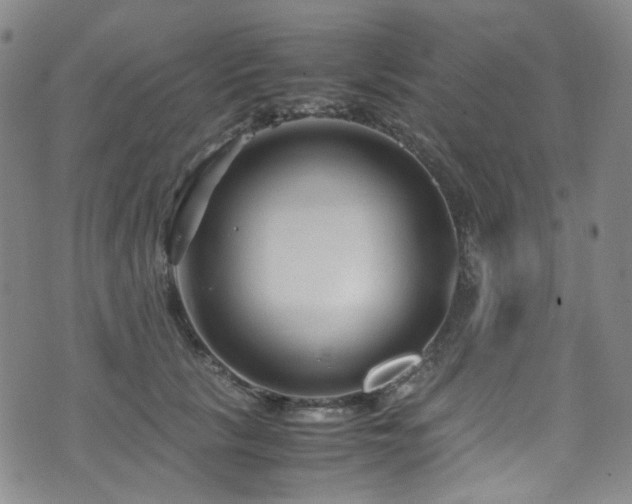 X0000072500657200607141131