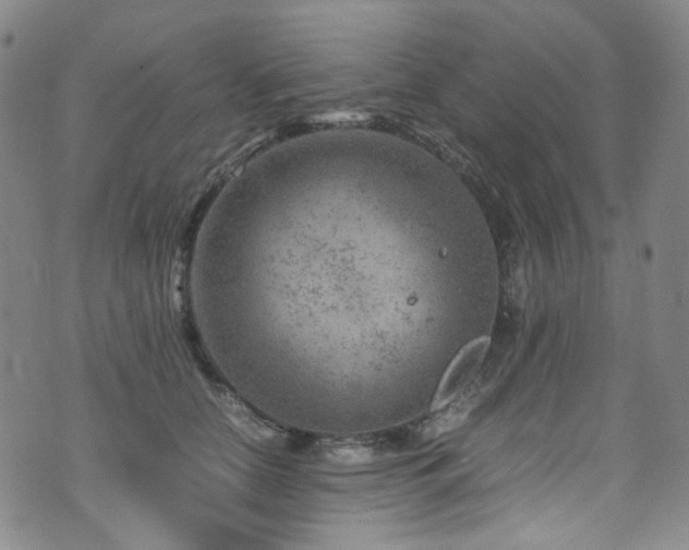 X0000072500658200607141131