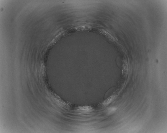 X0000072500659200607141131