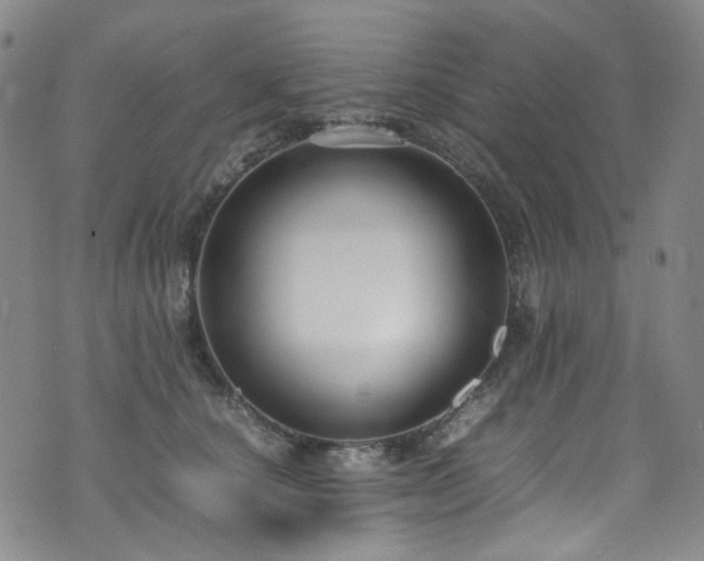 X0000072500660200607141131