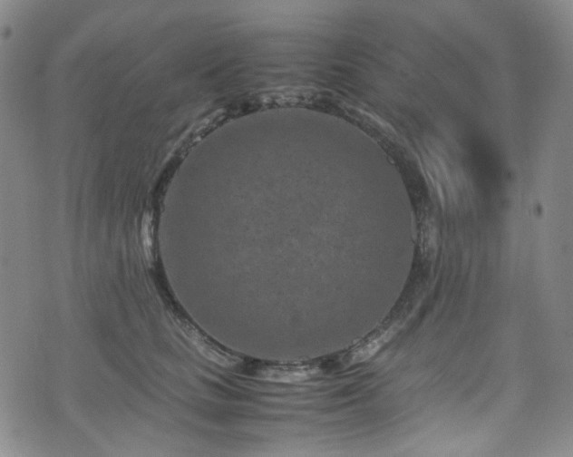 X0000072500661200607141131