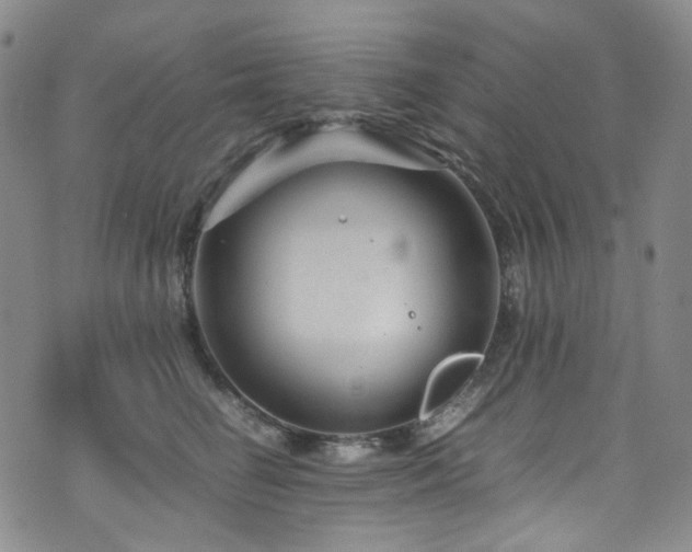 X0000072500662200607141131