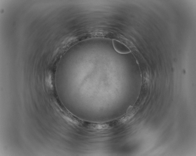 X0000072500663200607141131