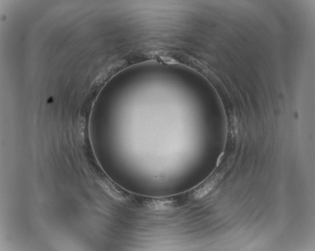 X0000072500664200607141131