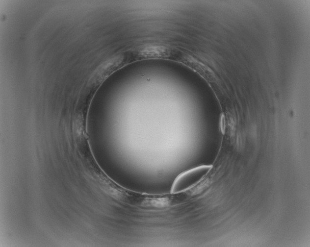 X0000072500665200607141131