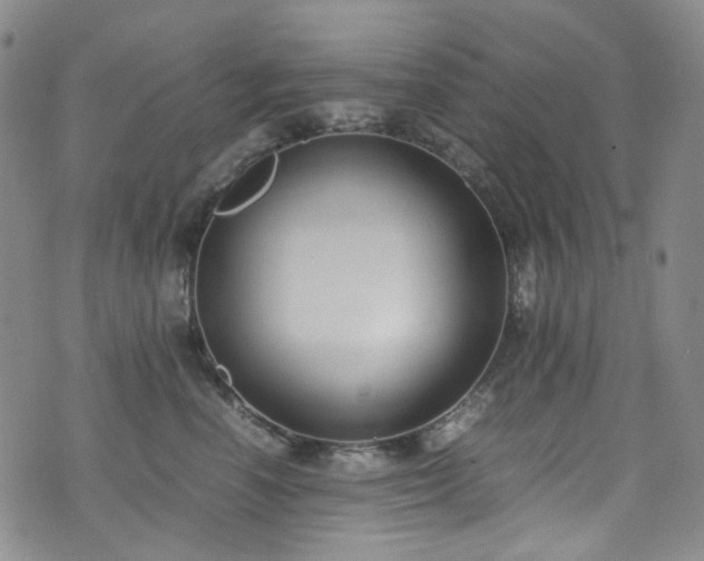 X0000072500666200607141131