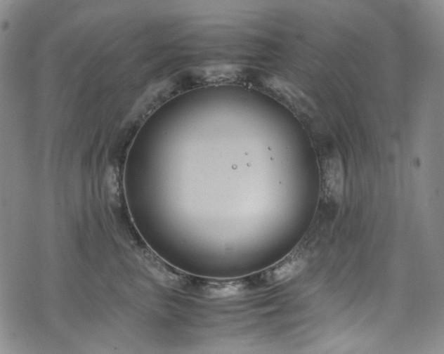 X0000072500667200607141131