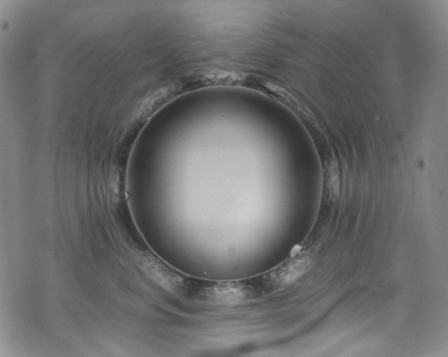 X0000072500668200607141131