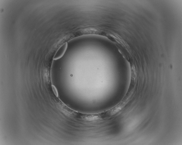 X0000072500669200607141131