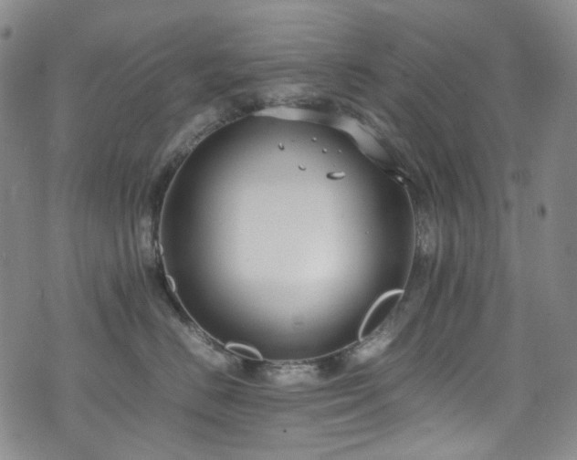 X0000072500670200607141131