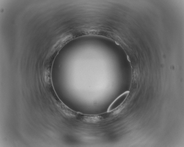 X0000072500671200607141131