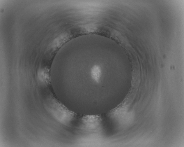 X0000072500672200607141131