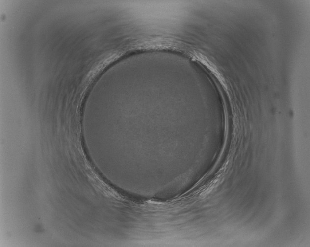 X0000072500673200607141130