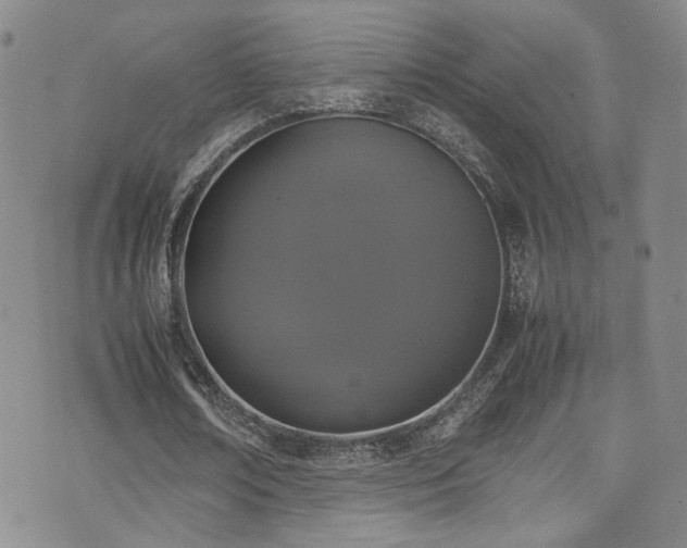 X0000072500674200607141130