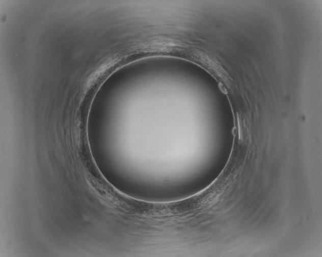 X0000072500675200607141130