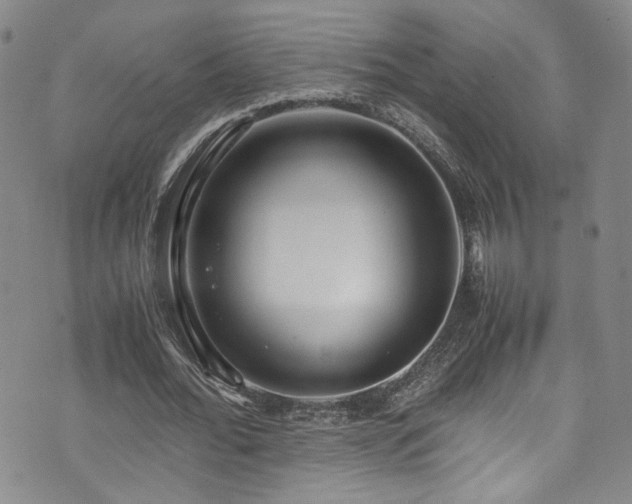 X0000072500676200607141130