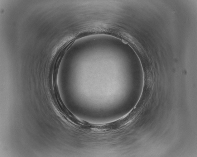 X0000072500677200607141130