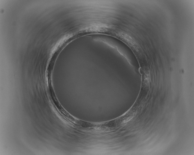 X0000072500678200607141130