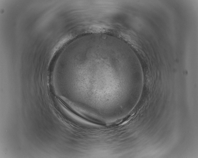 X0000072500679200607141130