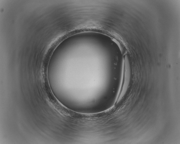 X0000072500680200607141130