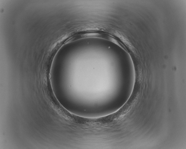 X0000072500681200607141130