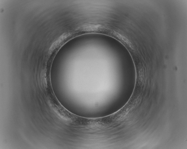 X0000072500682200607141130