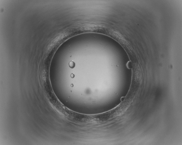 X0000072500683200607141130