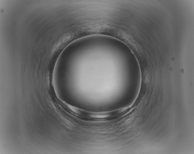 X0000072500685200607141130