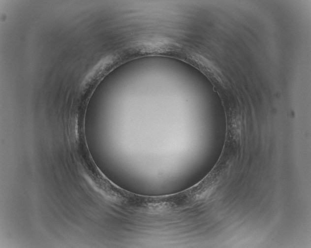 X0000072500686200607141130