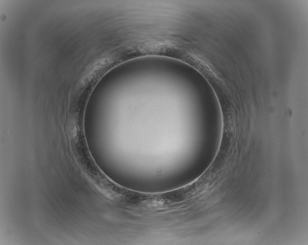 X0000072500687200607141130