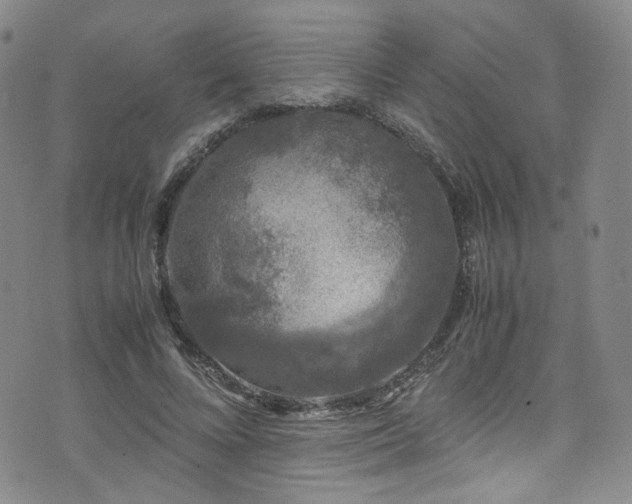 X0000072500688200607141130