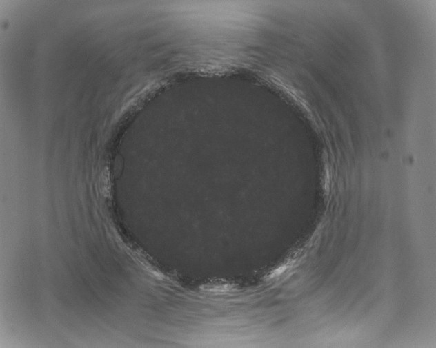 X0000072500689200607141130