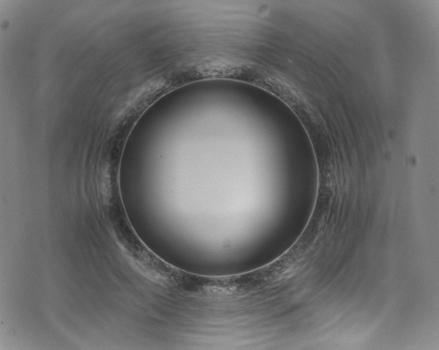 X0000072500690200607141130