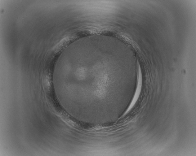 X0000072500691200607141130