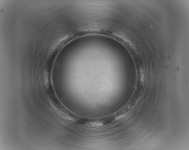 X0000072500692200607141130