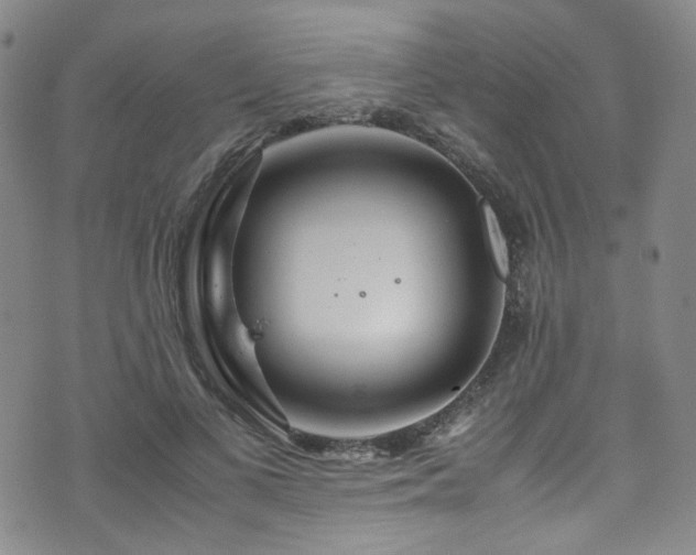 X0000072500693200607141130