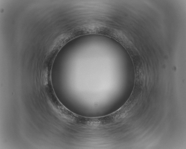 X0000072500694200607141130