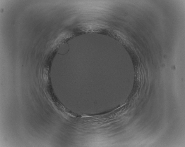 X0000072500695200607141130