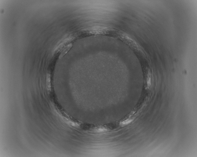 X0000072500696200607141130