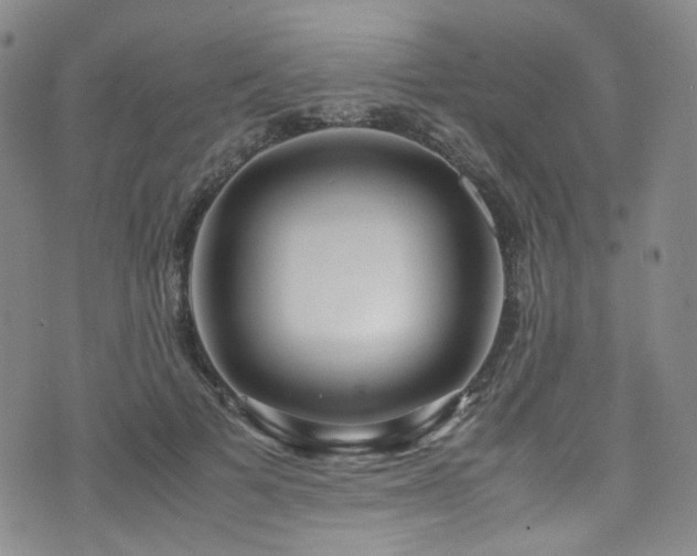 X0000072500697200607141130