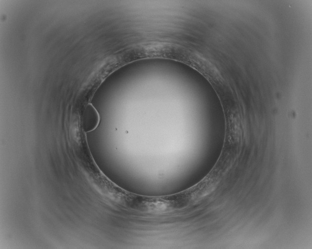 X0000072500698200607141130