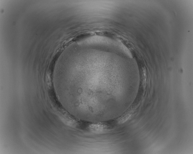 X0000072500699200607141130