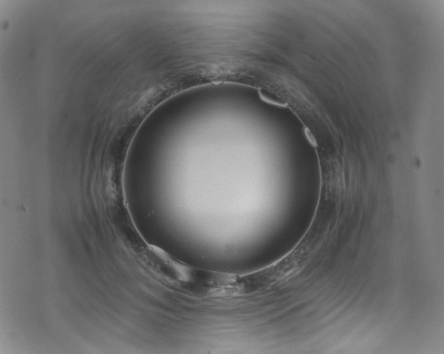 X0000072500700200607141130