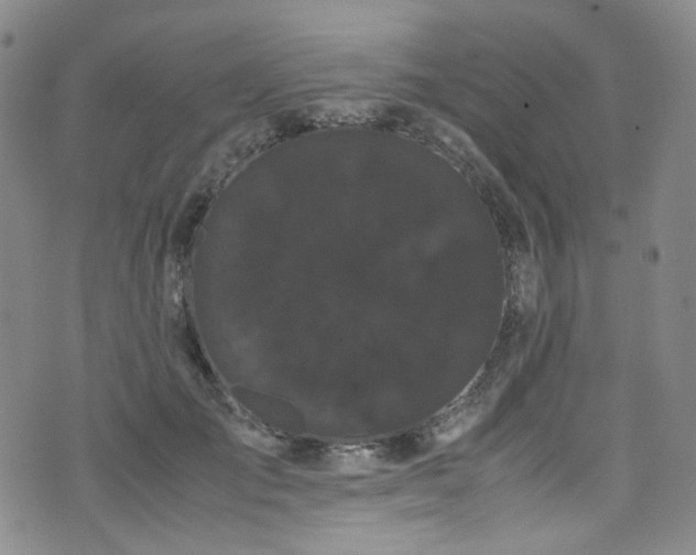 X0000072500701200607141130